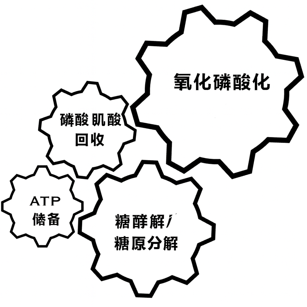 An image to describe post