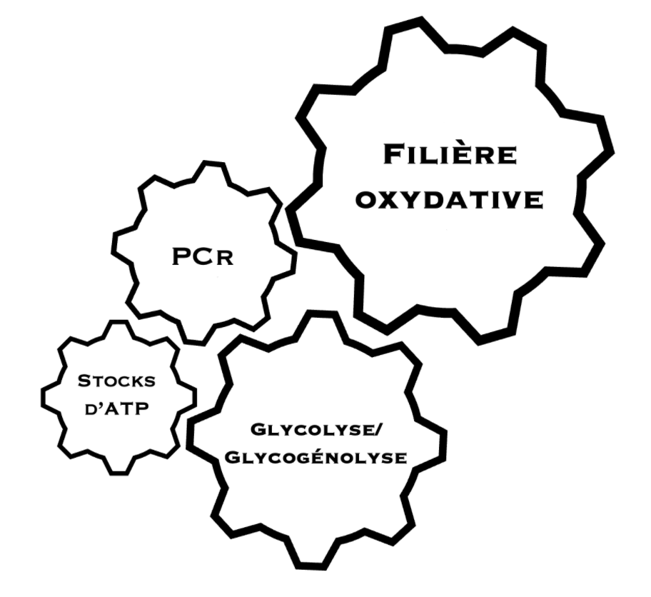 An image to describe post