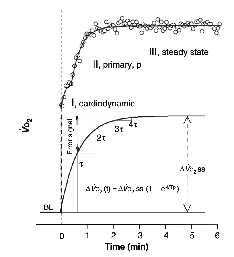 An image to describe post
